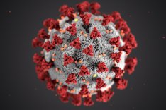 Coronavirus