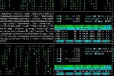 Das Bild zeigt Datenkolonnen auf einem Computerbildschirm.