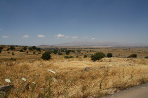 Landschaftsaufnahme der Golan Hochebene, im Hintergrund ist der Berg Hermon zu sehen.