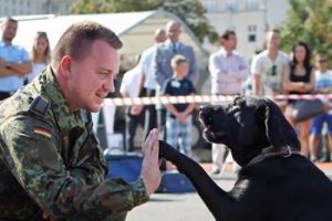 Soldat mit Hund