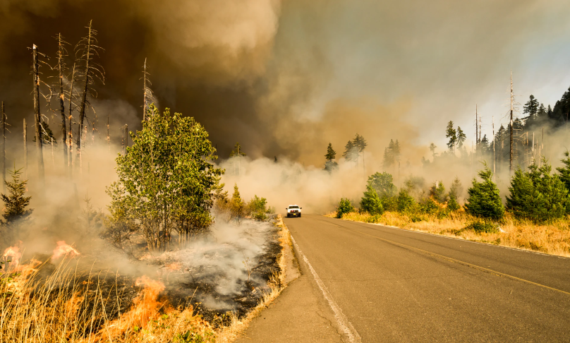 Auf einer von teils verbrannten Bäumen gesäumten Landstraße fährt ein Geländewagen; hinter ihm ragt eine Rauch- oder Staubsäule auf.
